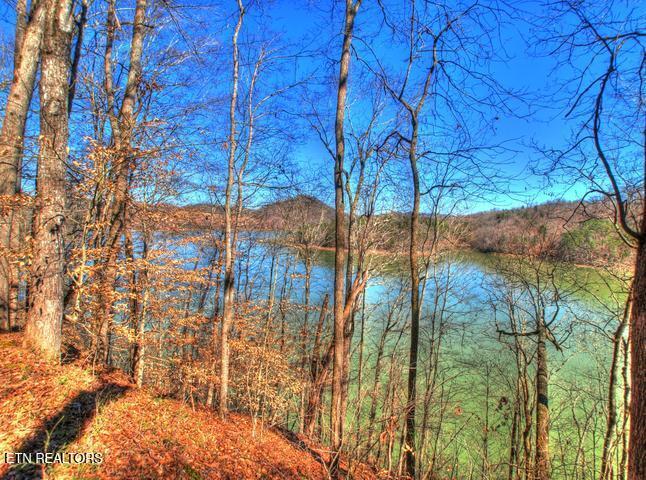 Norris Lake Real Estate - Image# 21