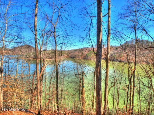 Norris Lake Real Estate - Image# 22