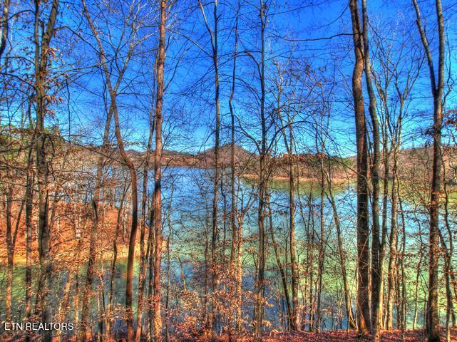 Norris Lake Real Estate - Image# 23