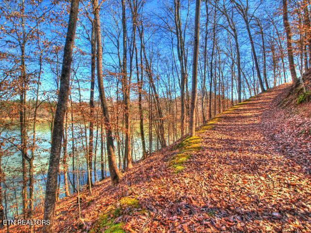 Norris Lake Real Estate - Image# 24