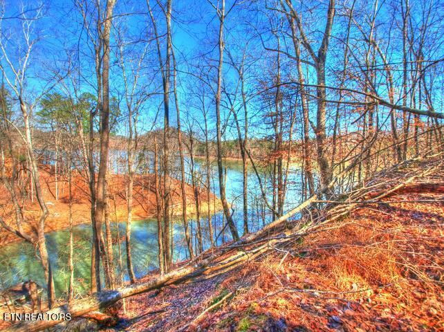 Norris Lake Real Estate - Image# 25