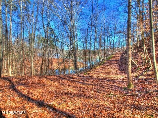 Norris Lake Real Estate - Image# 26