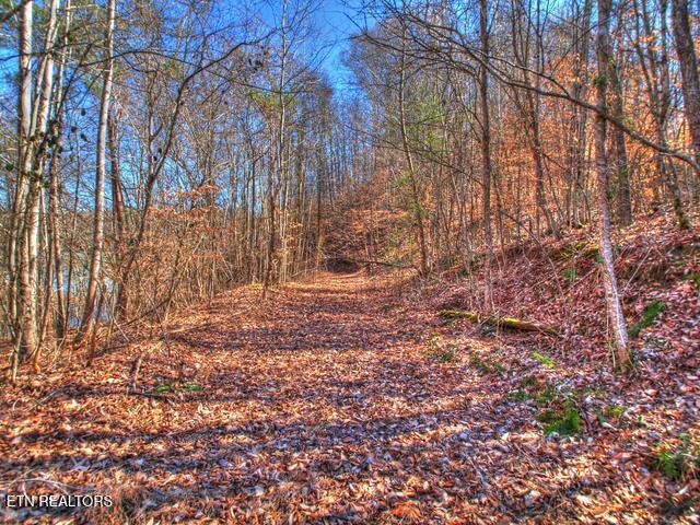 Norris Lake Real Estate - Image# 27