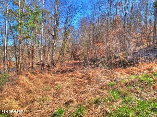 Norris Lake Real Estate - Image# 28