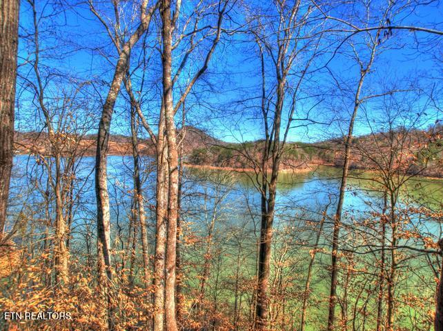 Norris Lake Real Estate - Image# 30