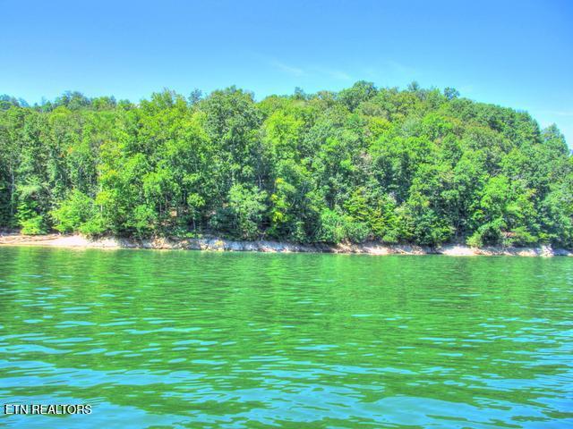 Norris Lake Real Estate - Image# 31
