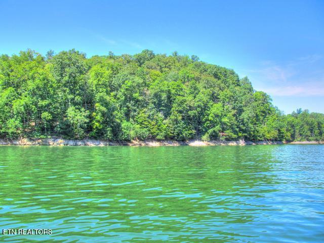 Norris Lake Real Estate - Image# 32