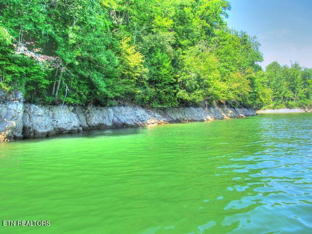 Norris Lake Real Estate - Image# 33