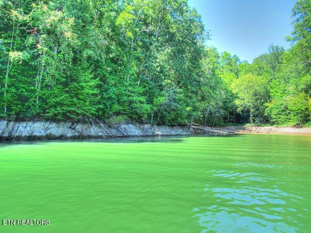 Norris Lake Real Estate - Image# 34