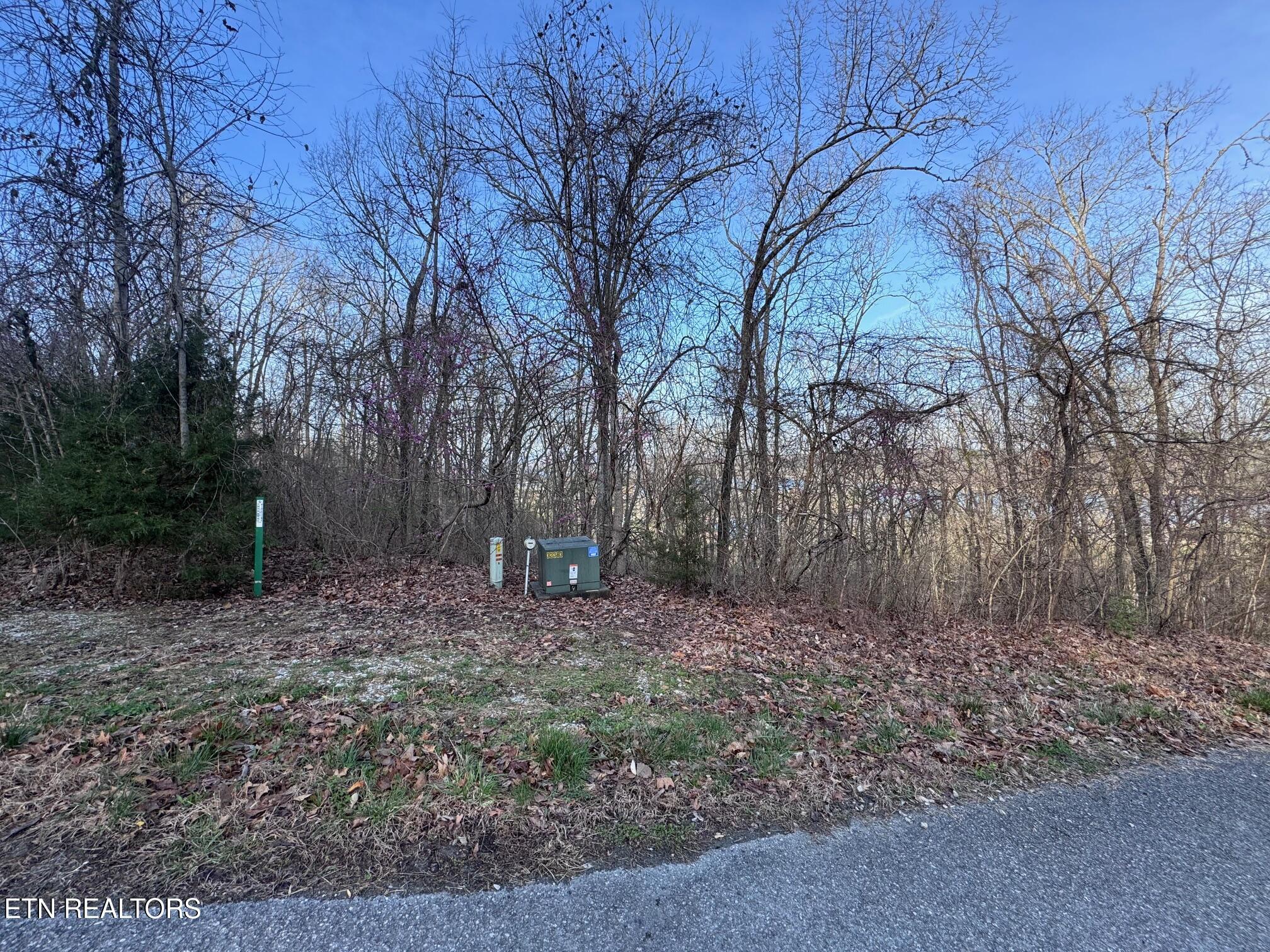 Norris Lake Real Estate - Image# 4