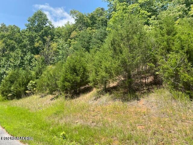 Norris Lake Real Estate - Image# 2