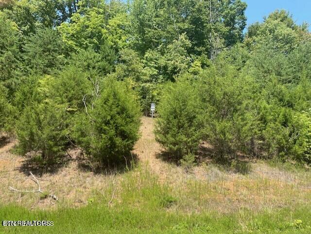 Norris Lake Real Estate - Image# 1