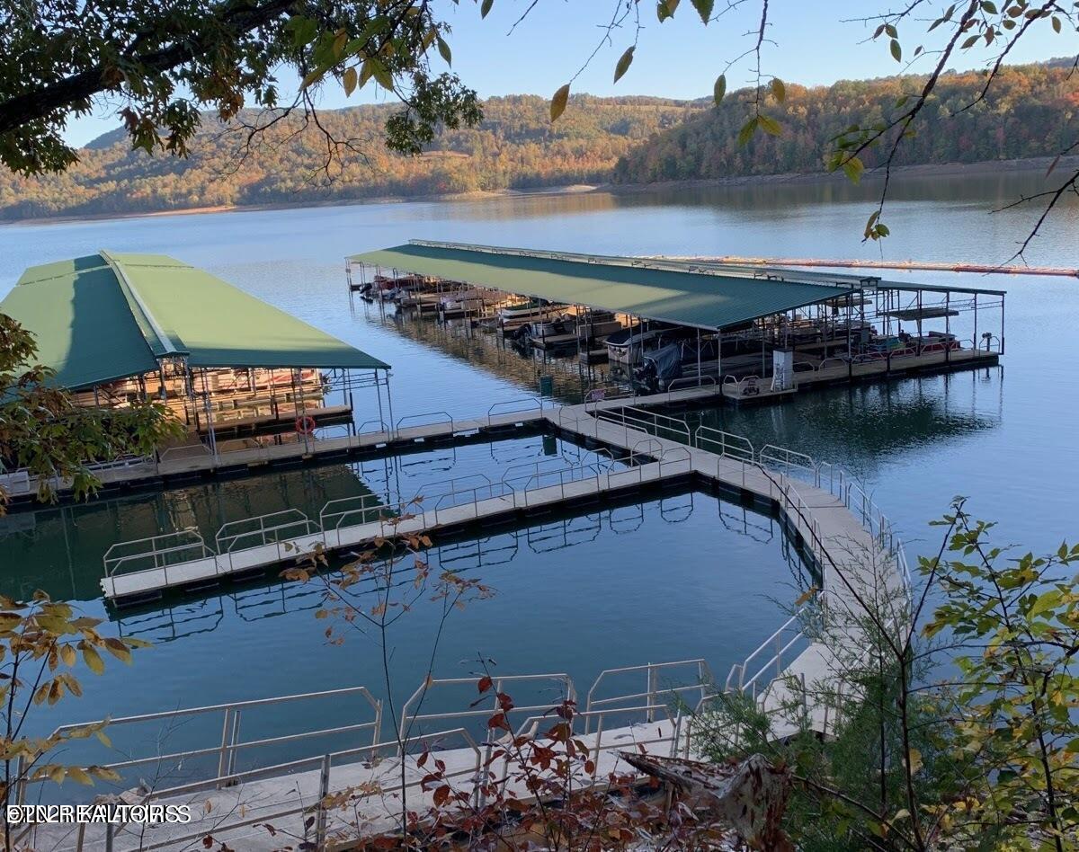 Norris Lake Real Estate - Image# 4
