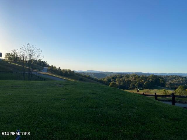 Norris Lake Real Estate - Image# 13