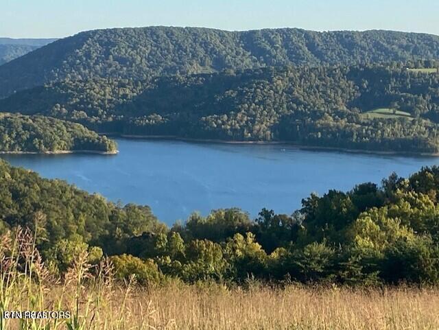 Norris Lake Real Estate - Image# 14