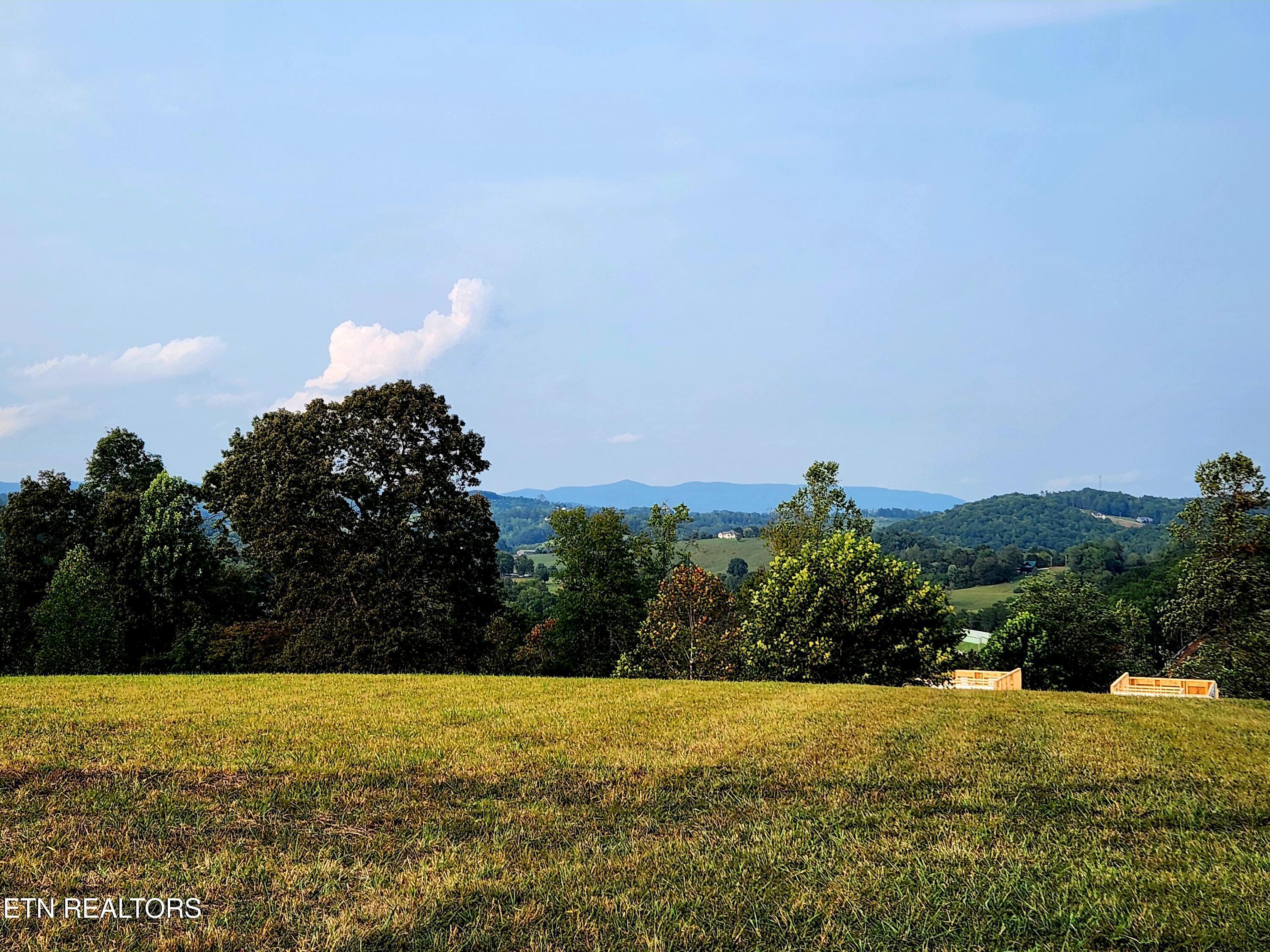 Norris Lake Real Estate - Image# 11