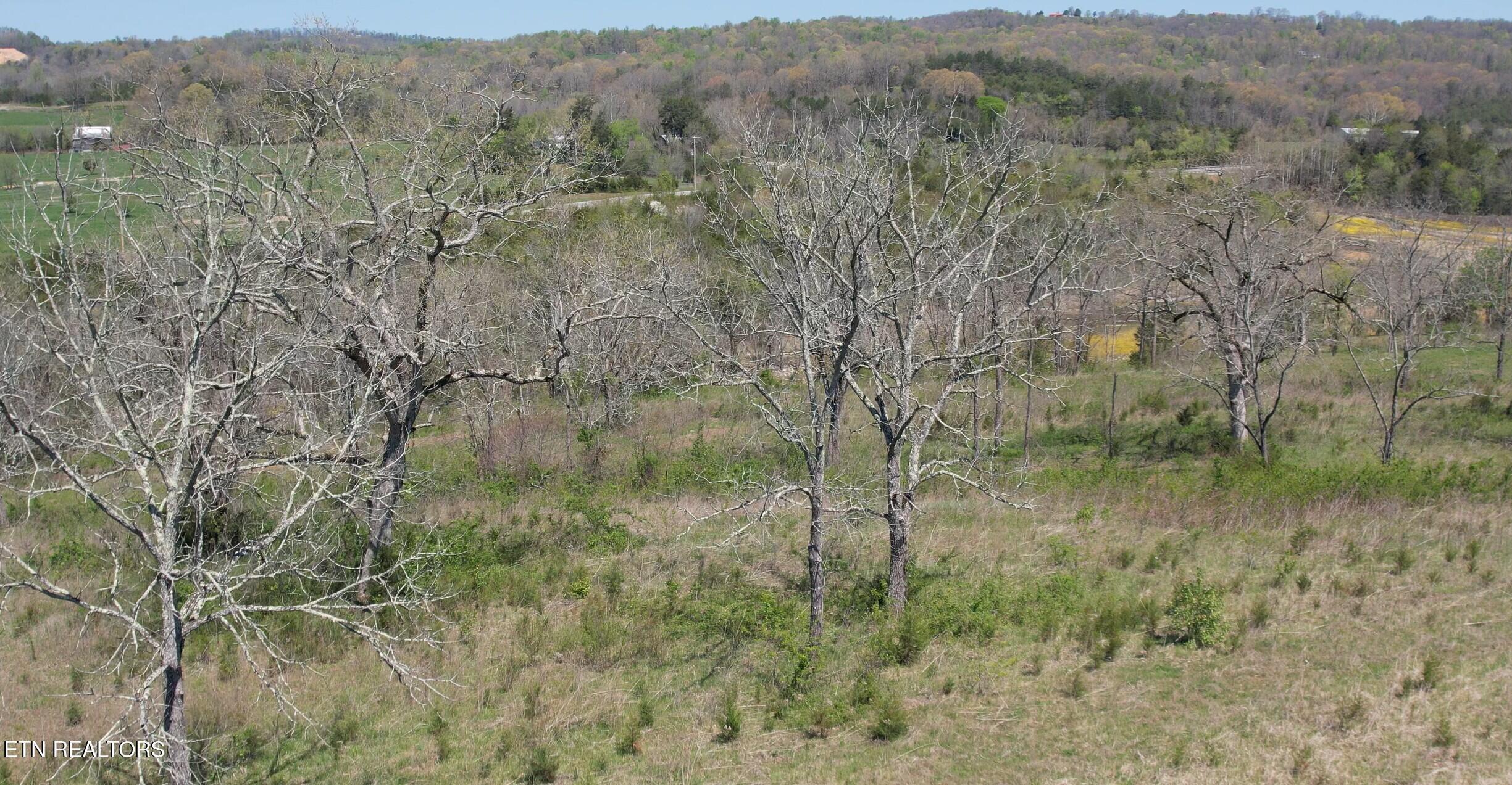 Norris Lake Real Estate - Image# 29