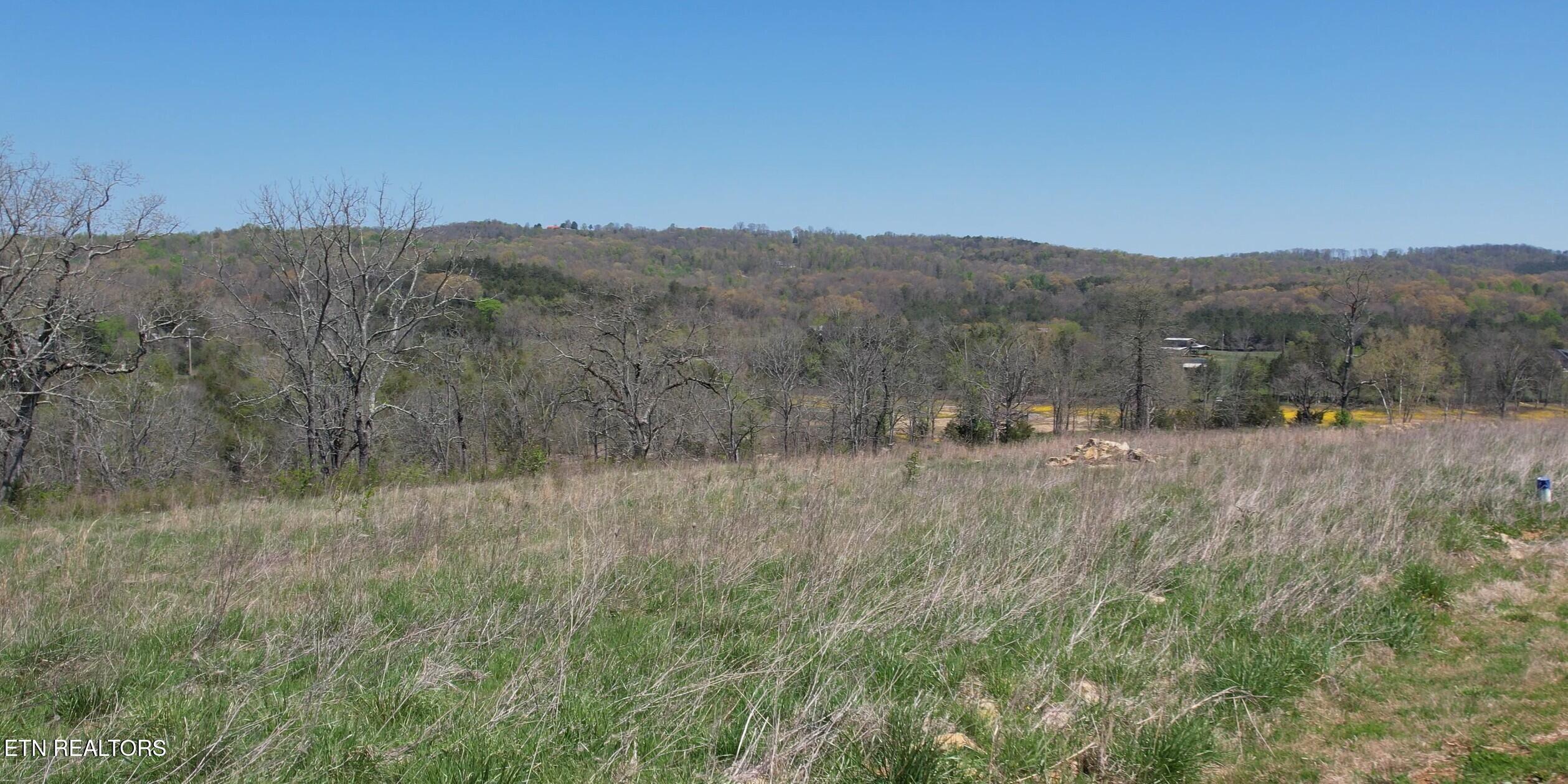 Norris Lake Real Estate - Image# 30