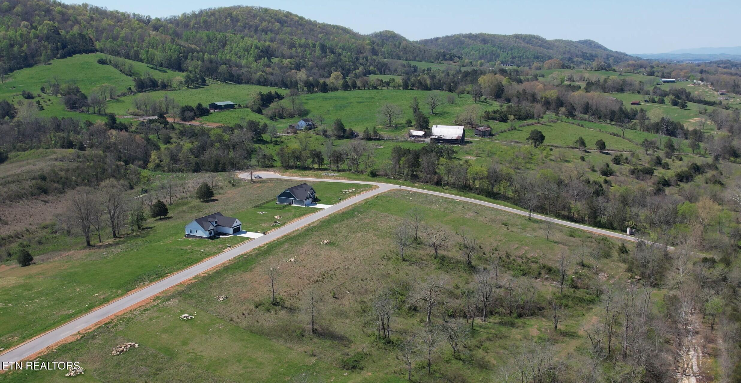 Norris Lake Real Estate - Image# 4