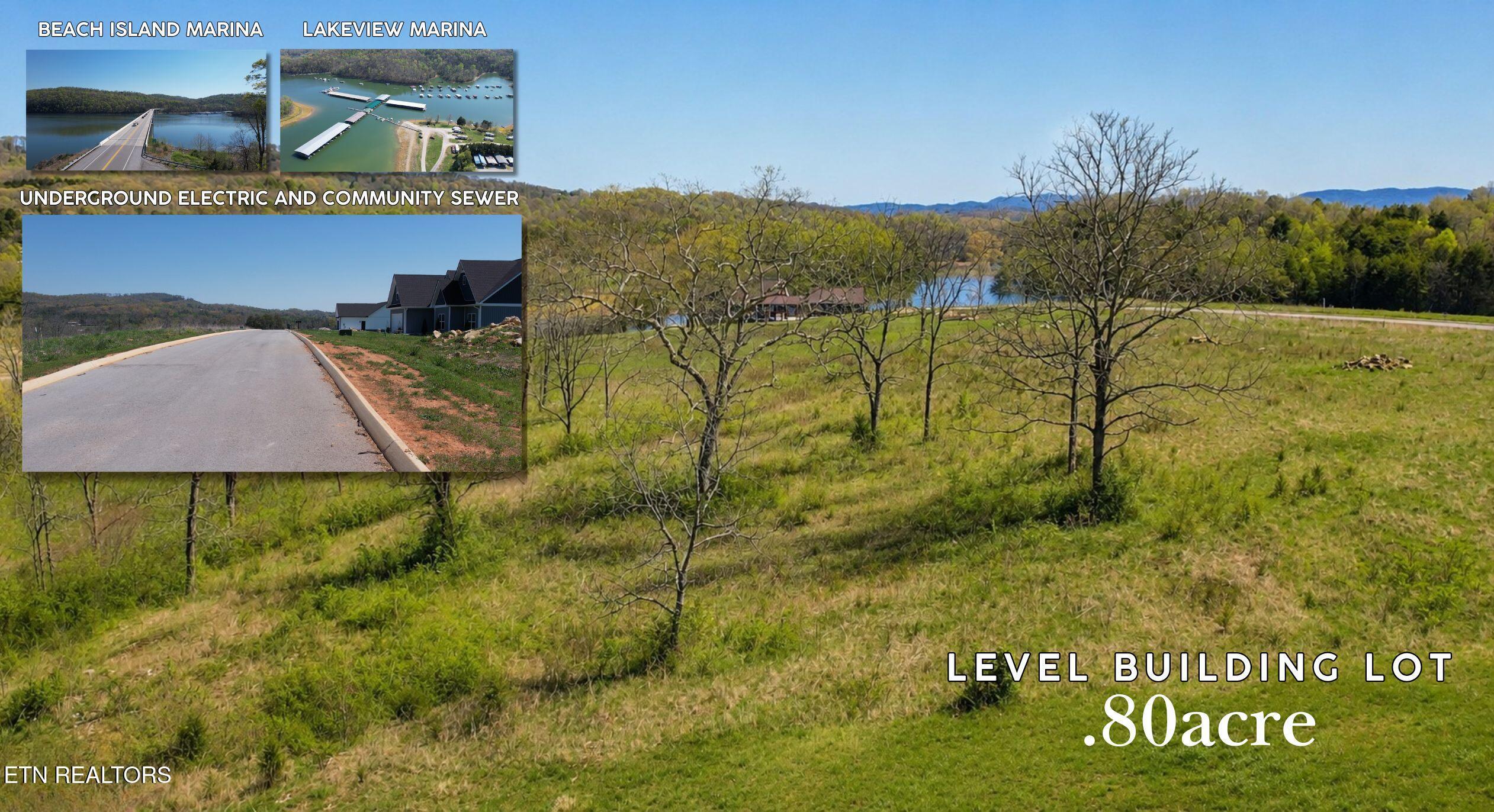 Norris Lake Real Estate - Image# 41