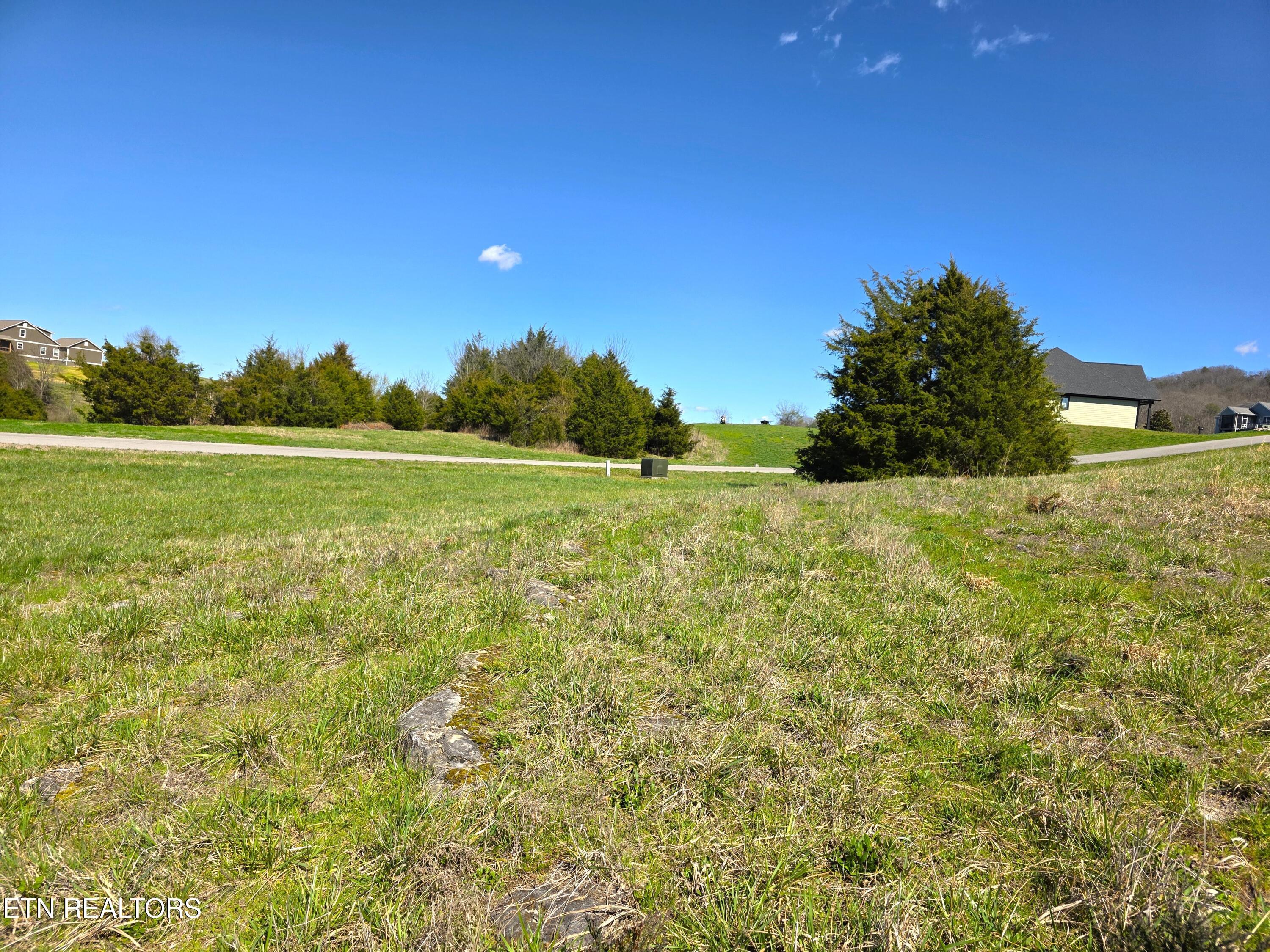 Norris Lake Real Estate - Image# 4
