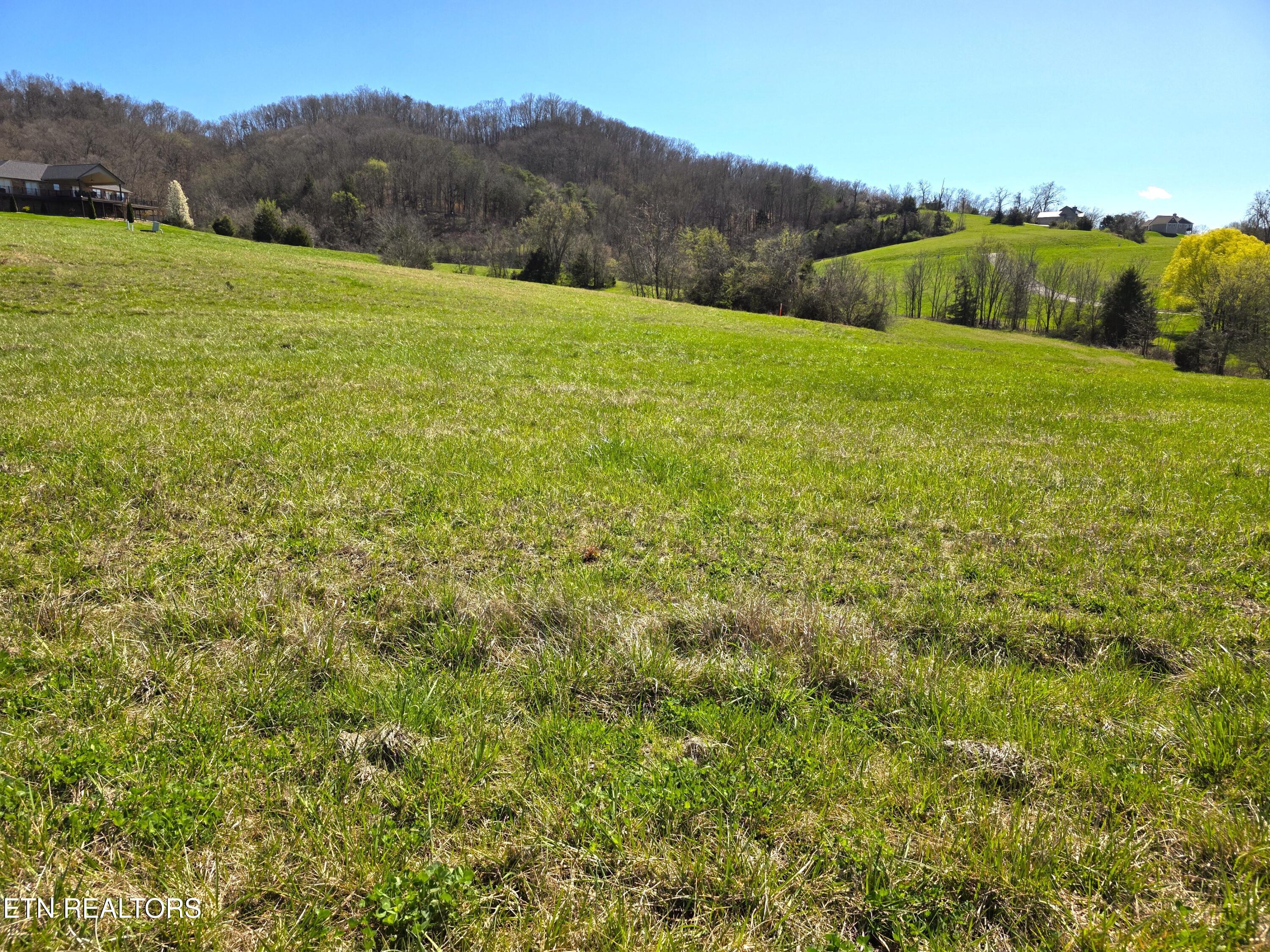 Norris Lake Real Estate - Image# 5