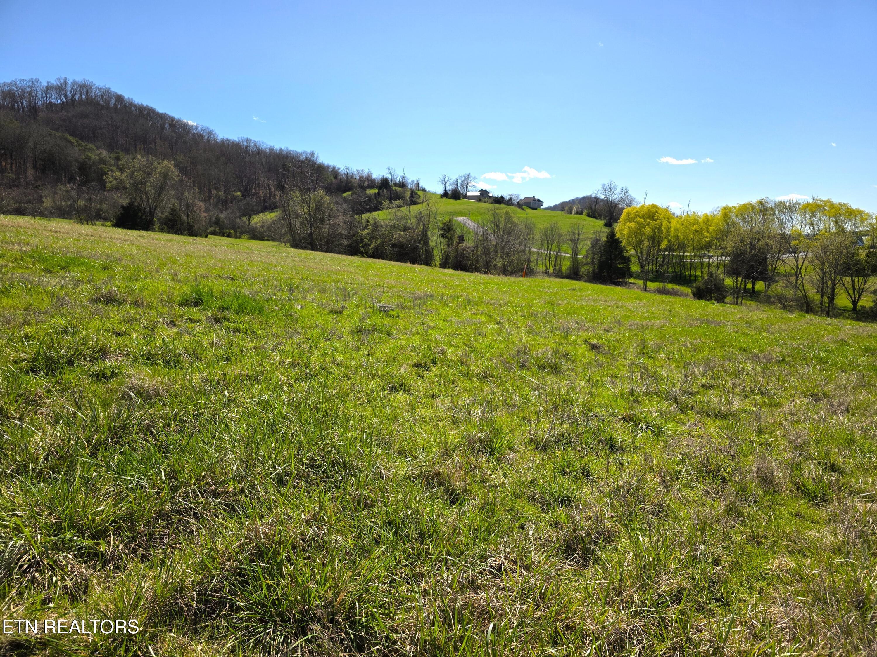 Norris Lake Real Estate - Image# 6