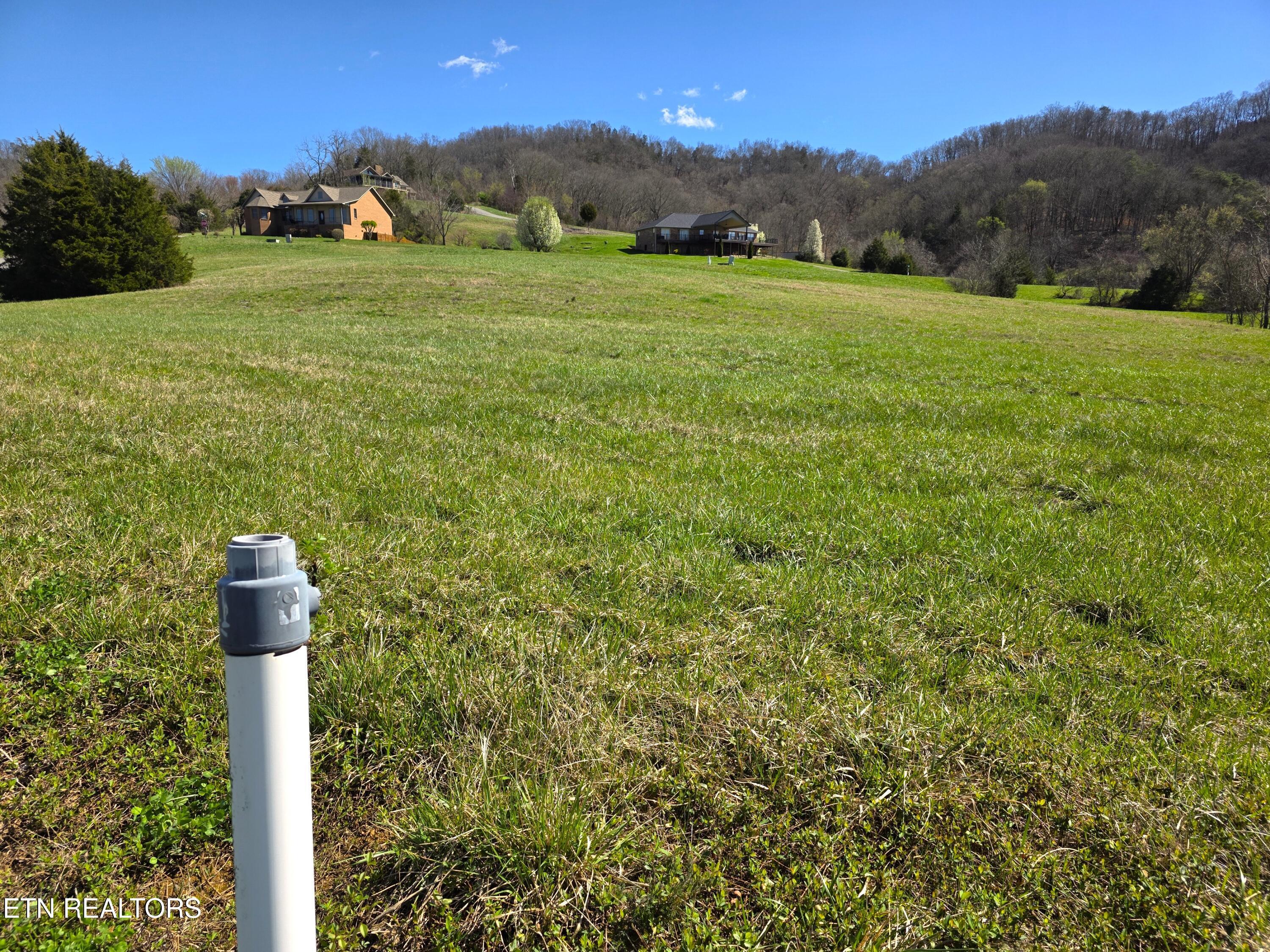 Norris Lake Real Estate - Image# 7