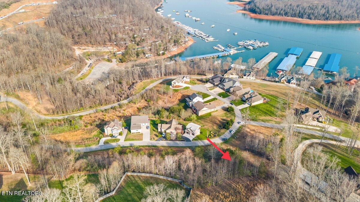 Norris Lake Real Estate - Image# 4