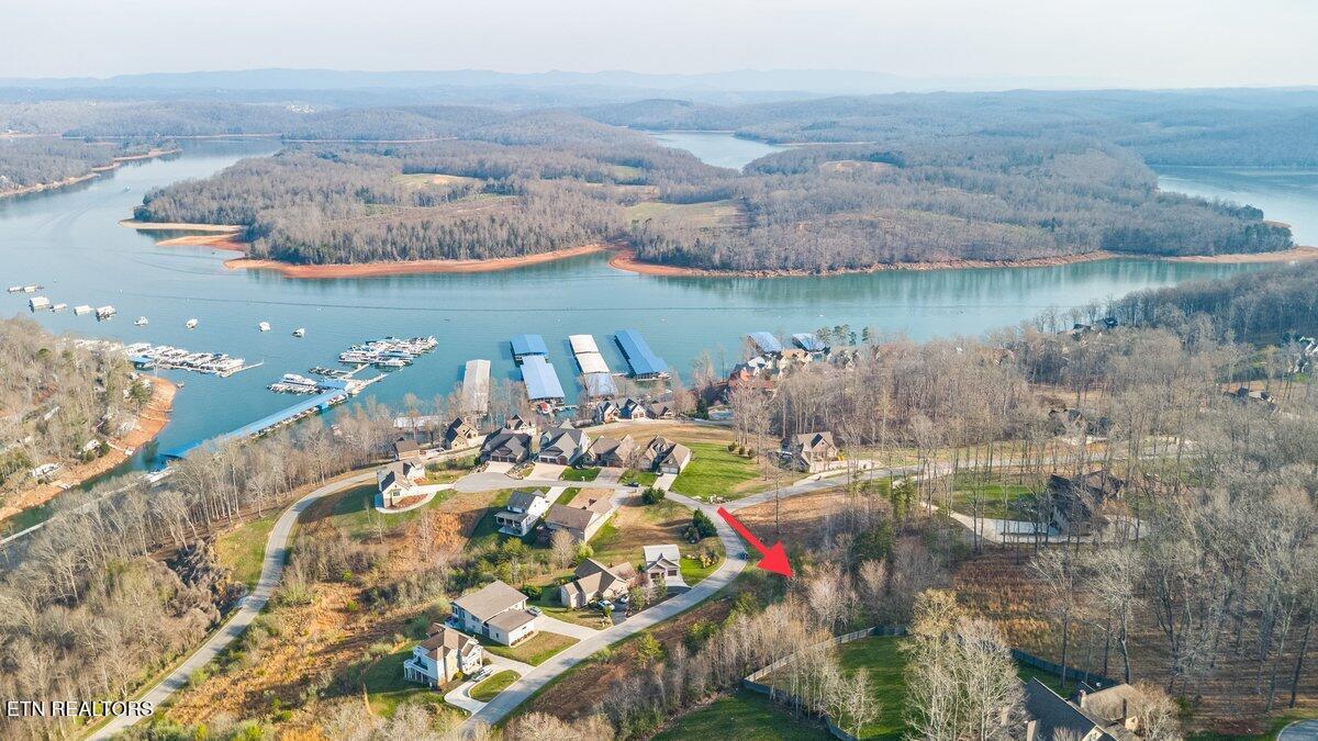 Norris Lake Real Estate - Image# 3