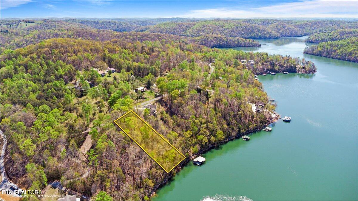 Norris Lake Real Estate - Image# 1