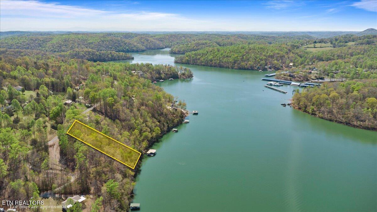 Norris Lake Real Estate - Image# 2