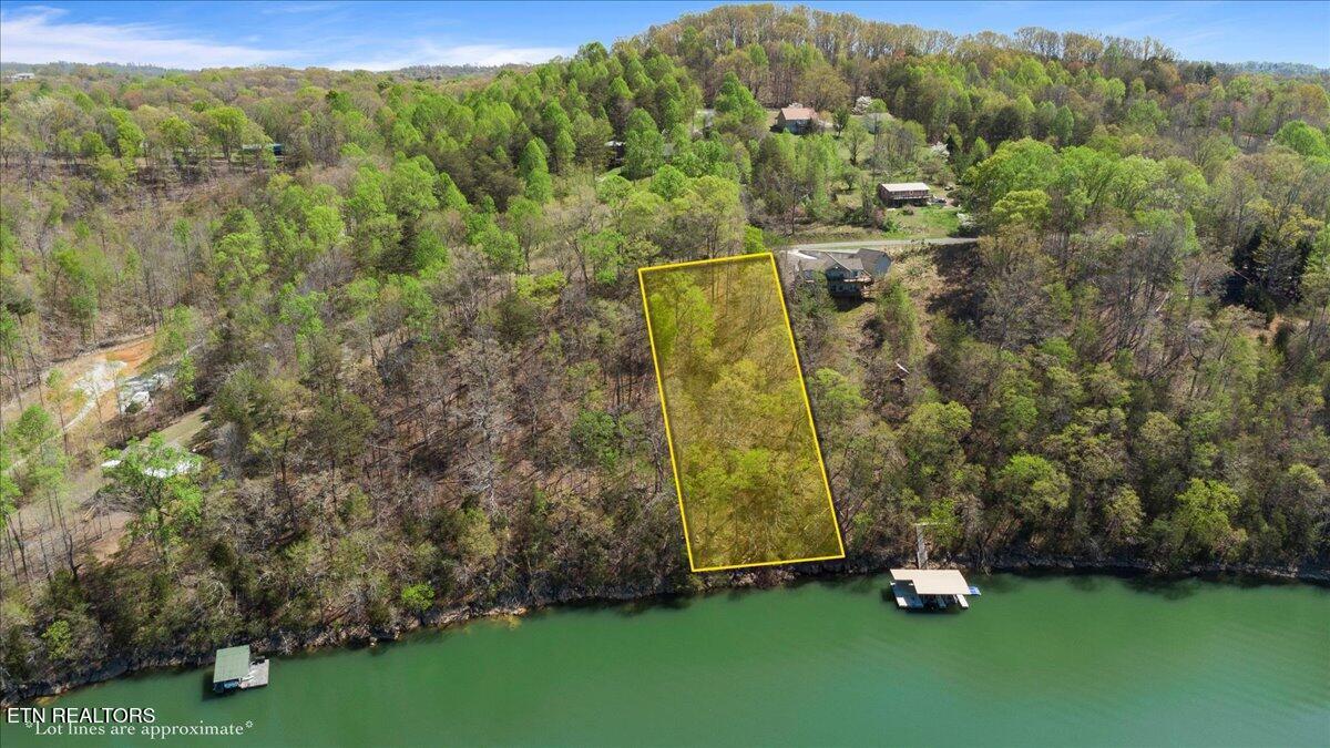 Norris Lake Real Estate - Image# 3
