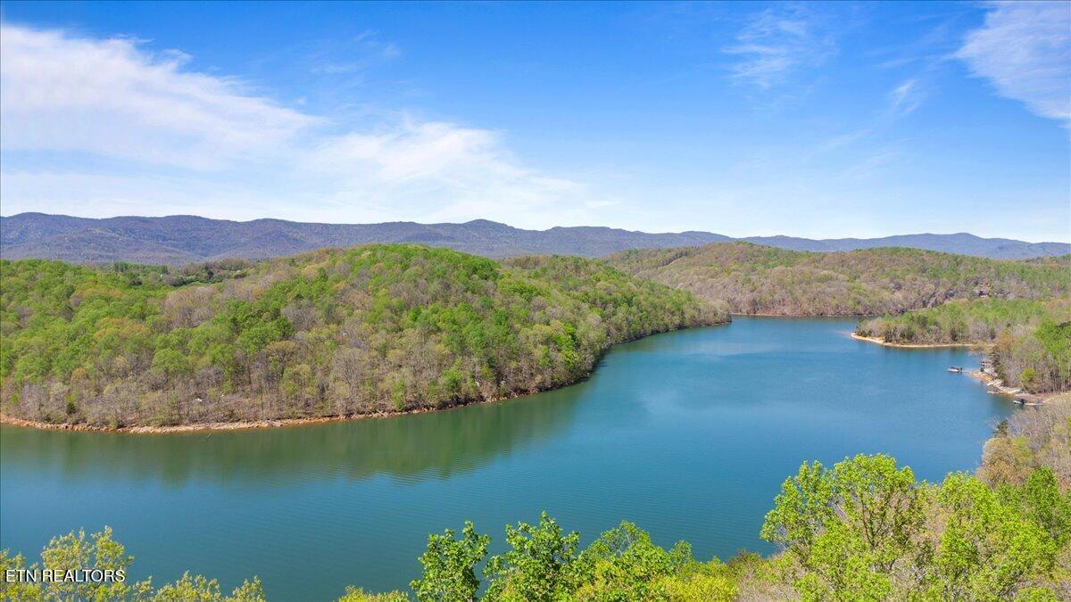 Norris Lake Real Estate - Image# 5