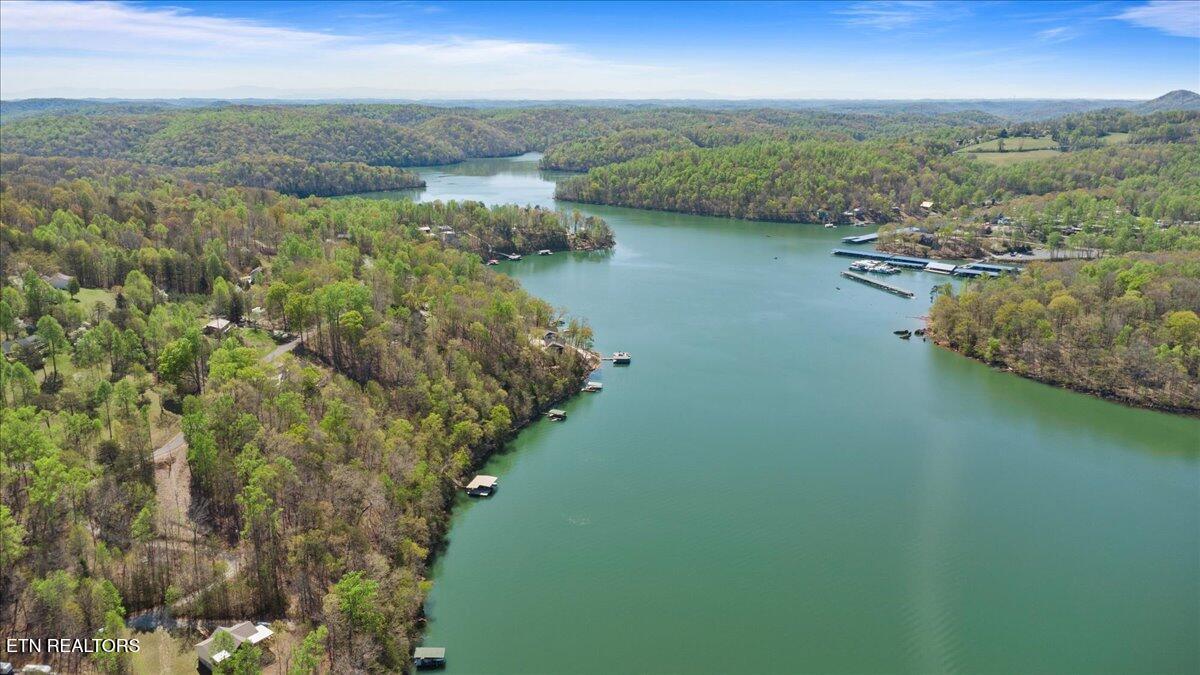 Norris Lake Real Estate - Image# 6