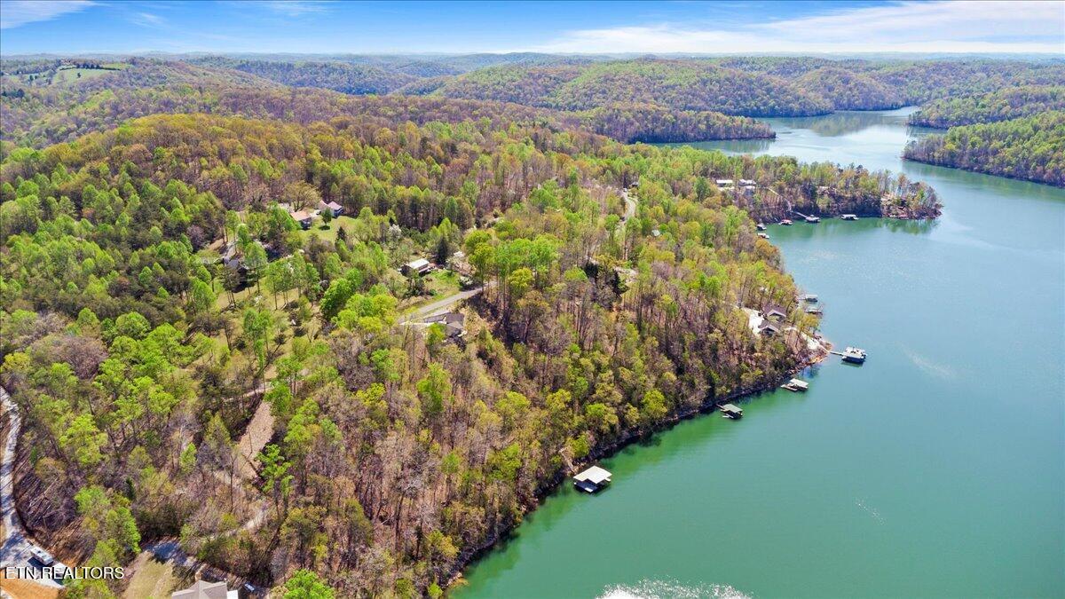 Norris Lake Real Estate - Image# 7