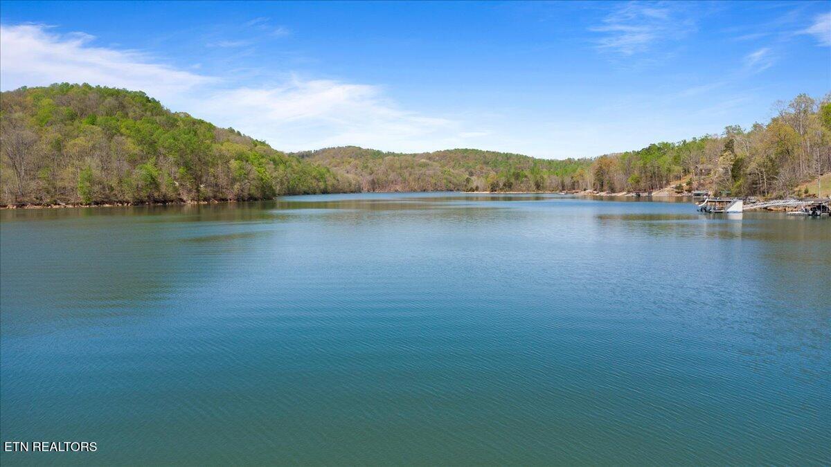 Norris Lake Real Estate - Image# 8