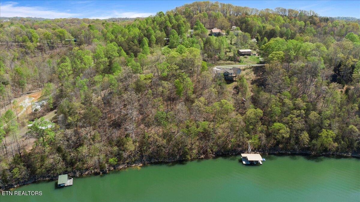 Norris Lake Real Estate - Image# 9