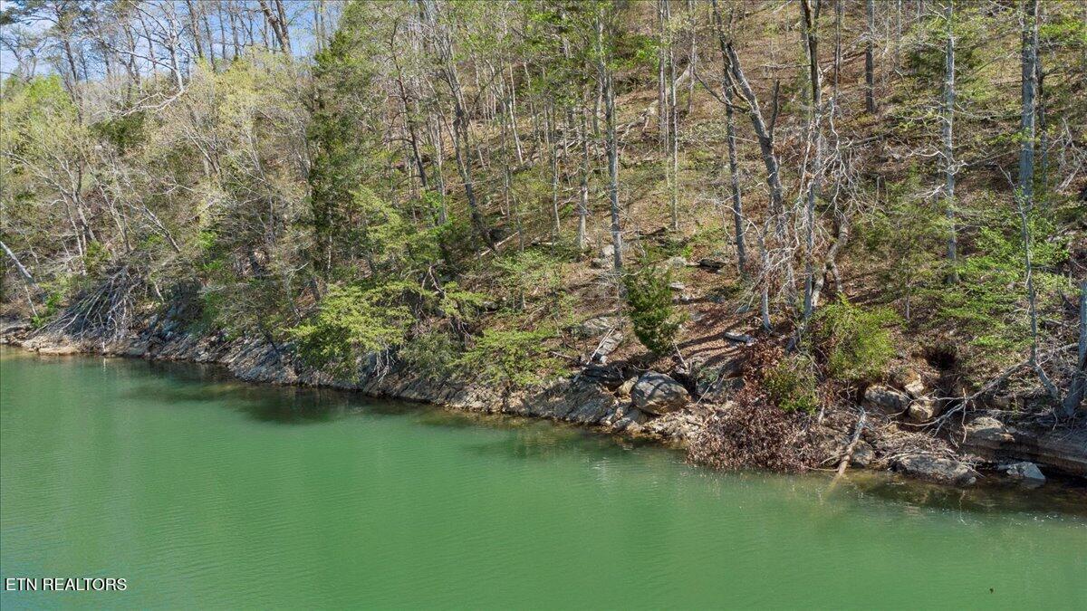 Norris Lake Real Estate - Image# 10