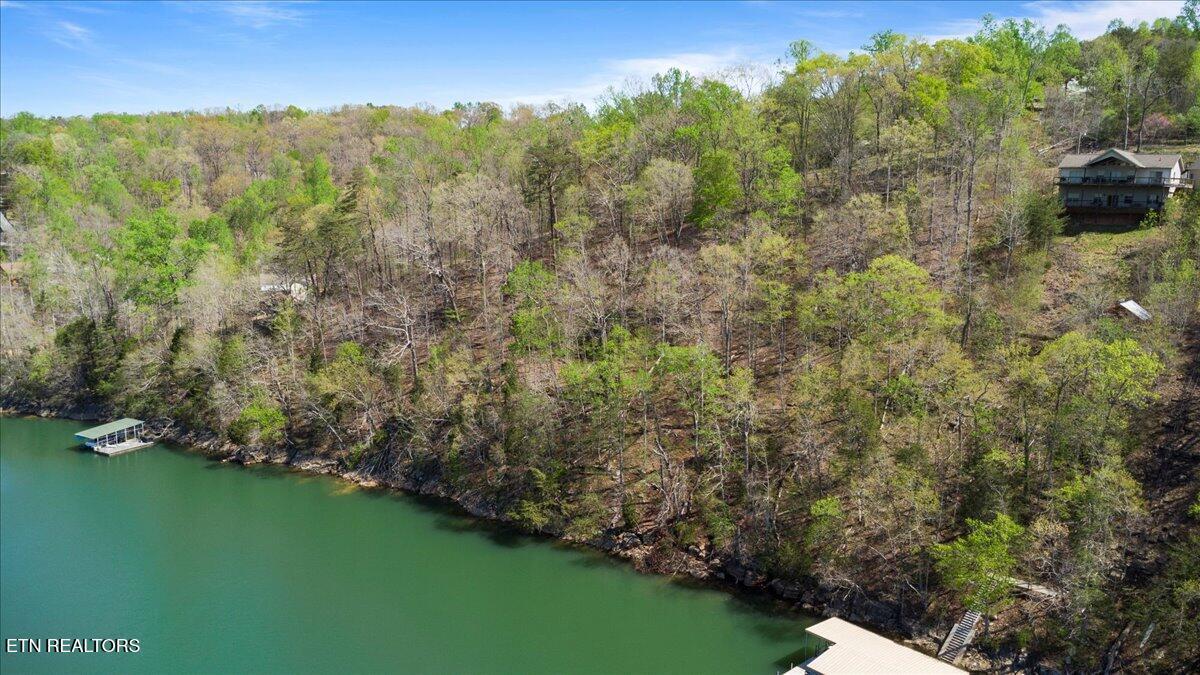 Norris Lake Real Estate - Image# 11