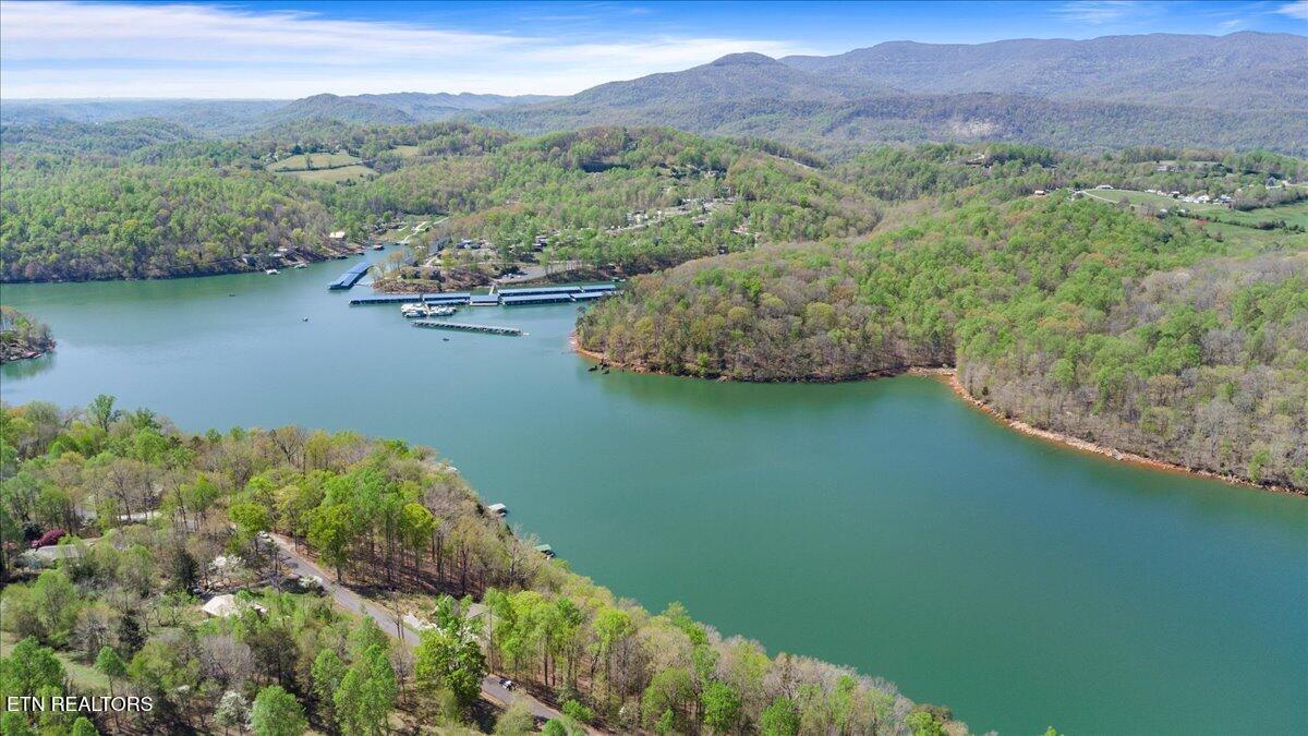 Norris Lake Real Estate - Image# 12