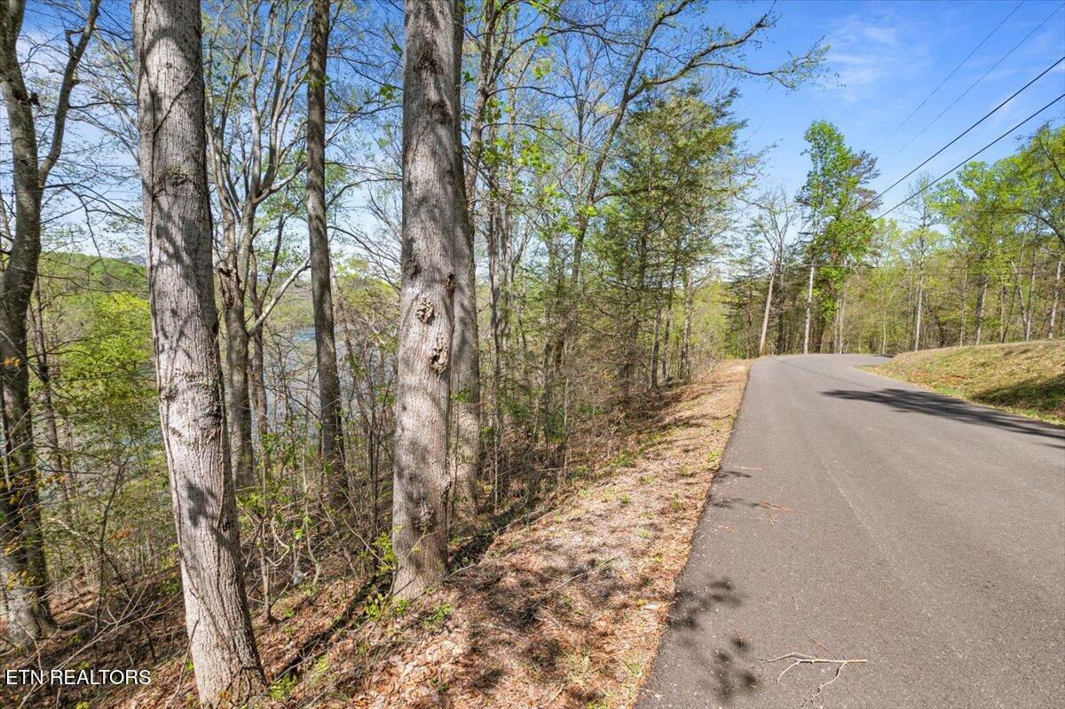 Norris Lake Real Estate - Image# 14