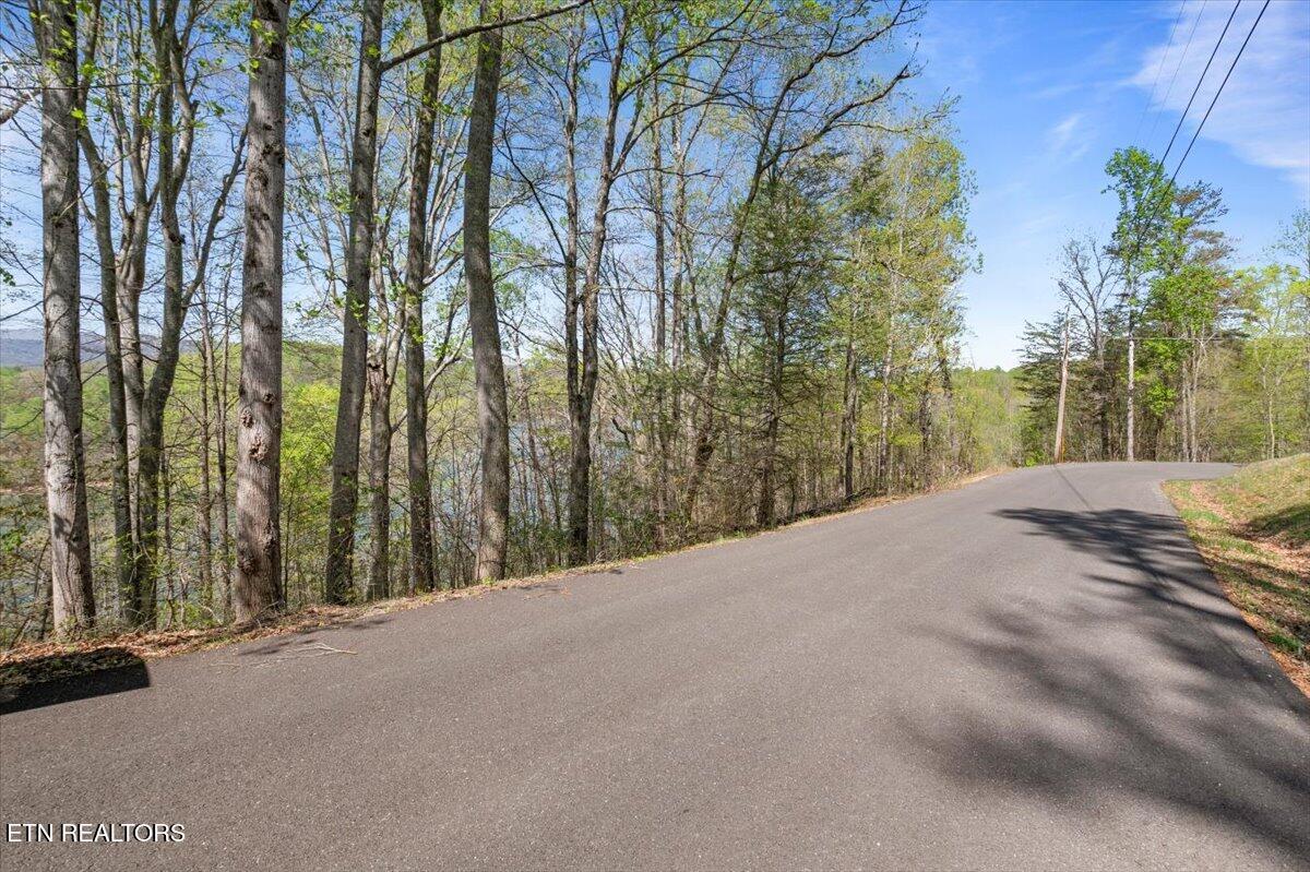 Norris Lake Real Estate - Image# 15