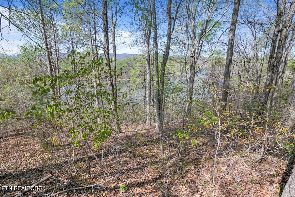 Norris Lake Real Estate - Image# 16