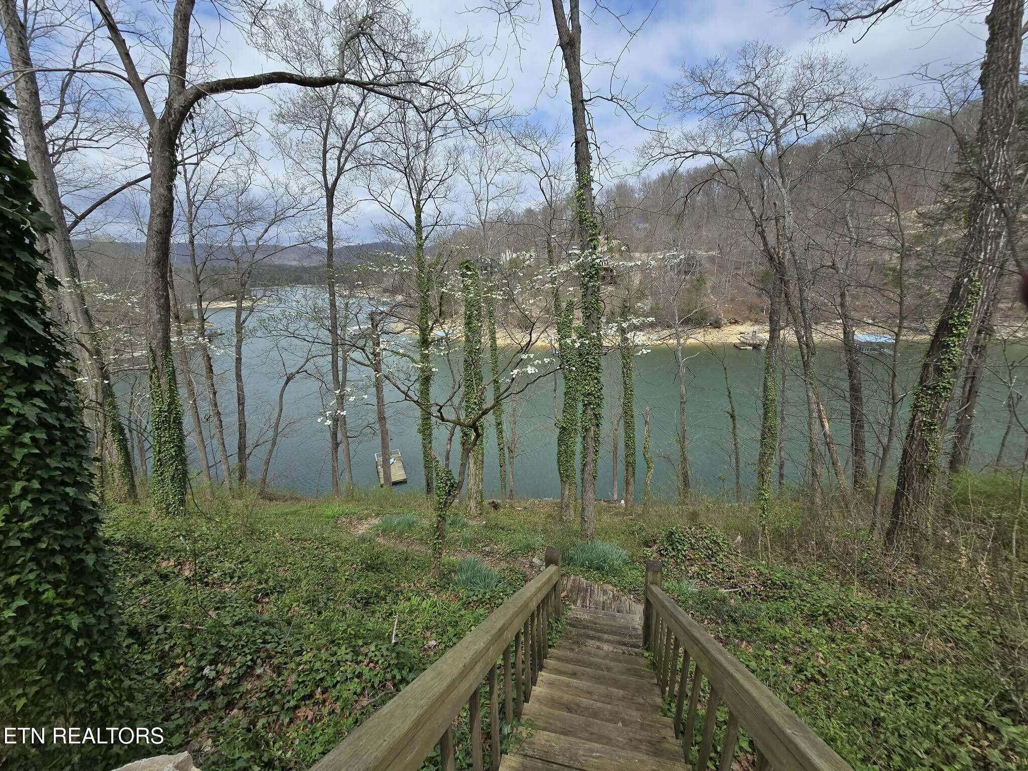 961 Indian River Boat Dock Rd, Jacksboro, TN - Norris Lake Real Estate - Image# 43