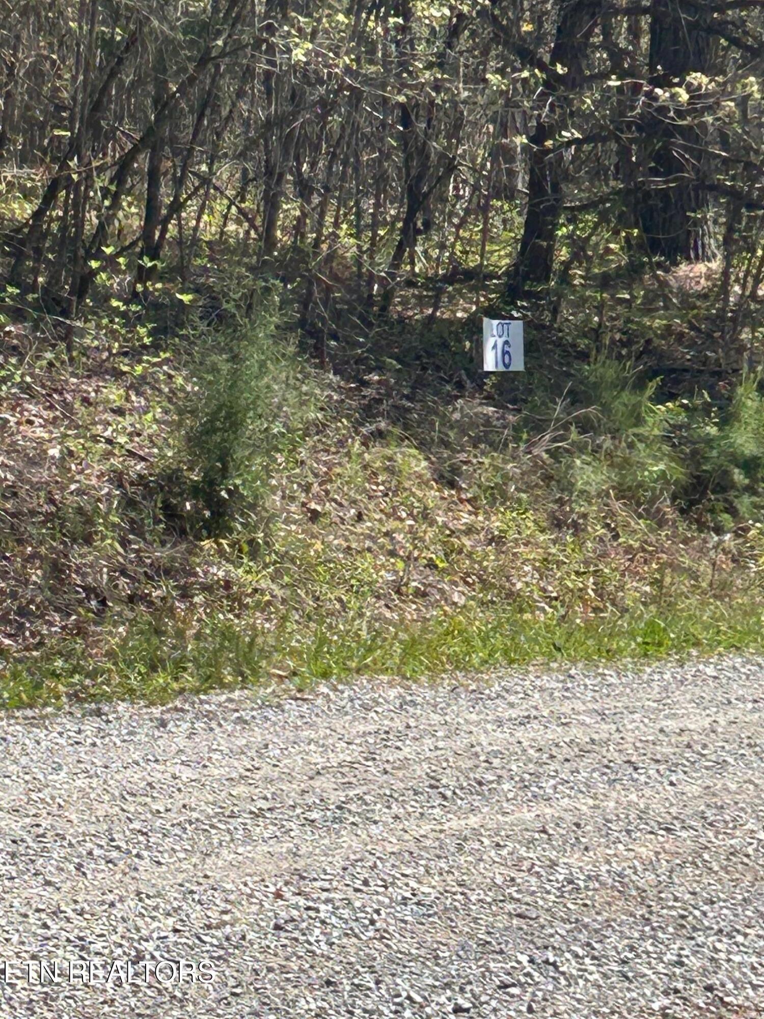 Norris Lake Real Estate - Image# 4