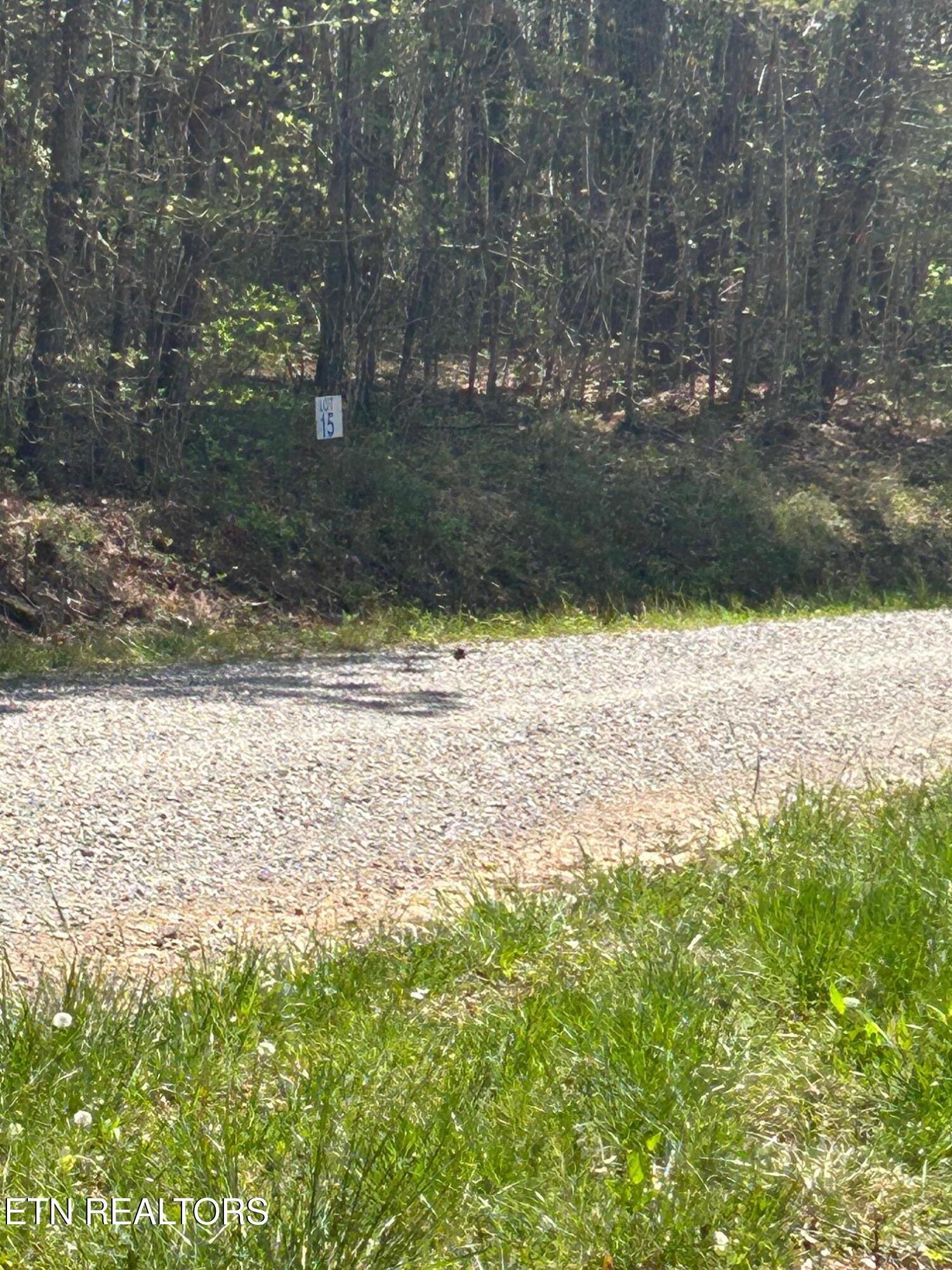 Norris Lake Real Estate - Image# 8