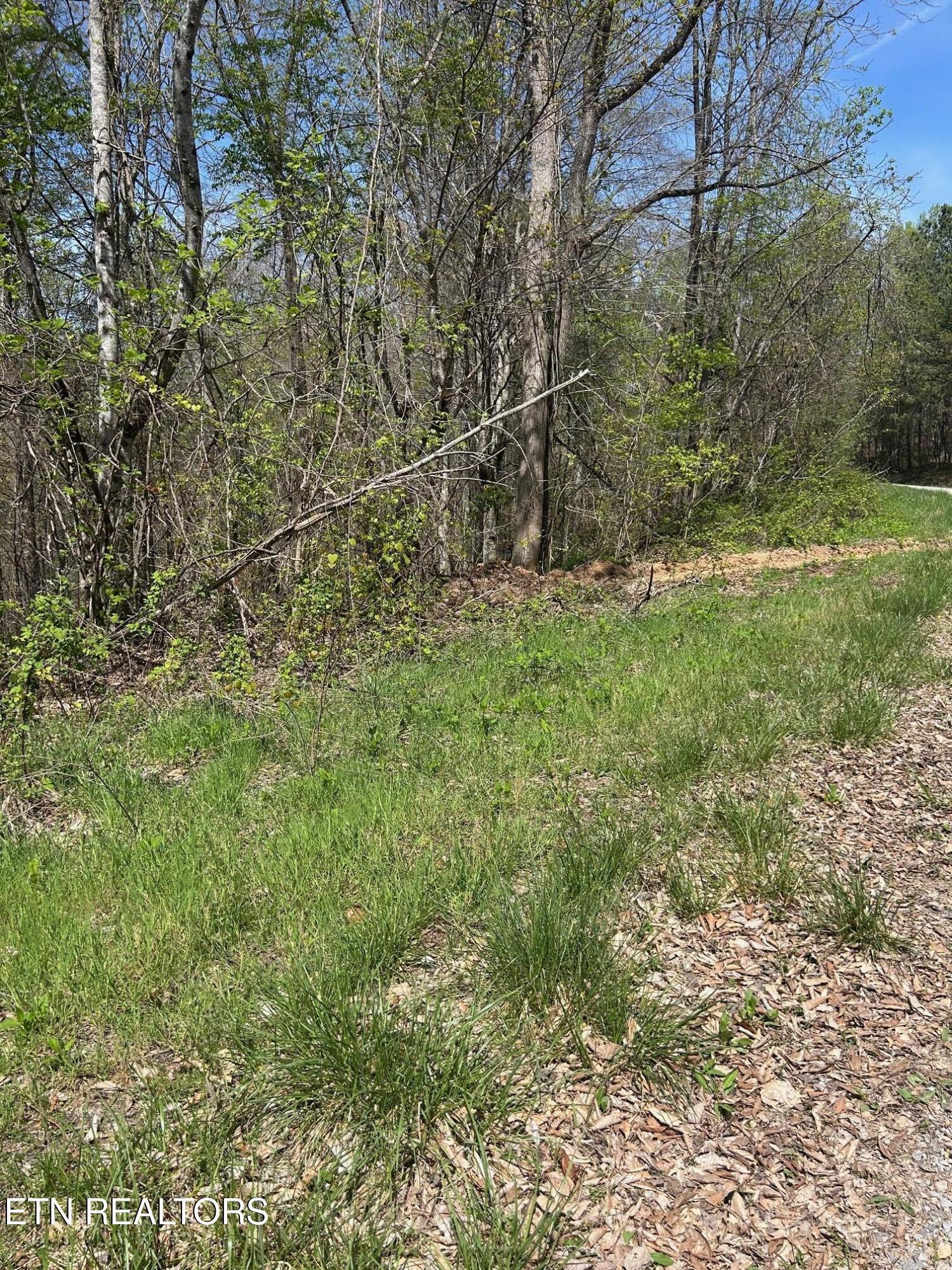 Norris Lake Real Estate - Image# 2