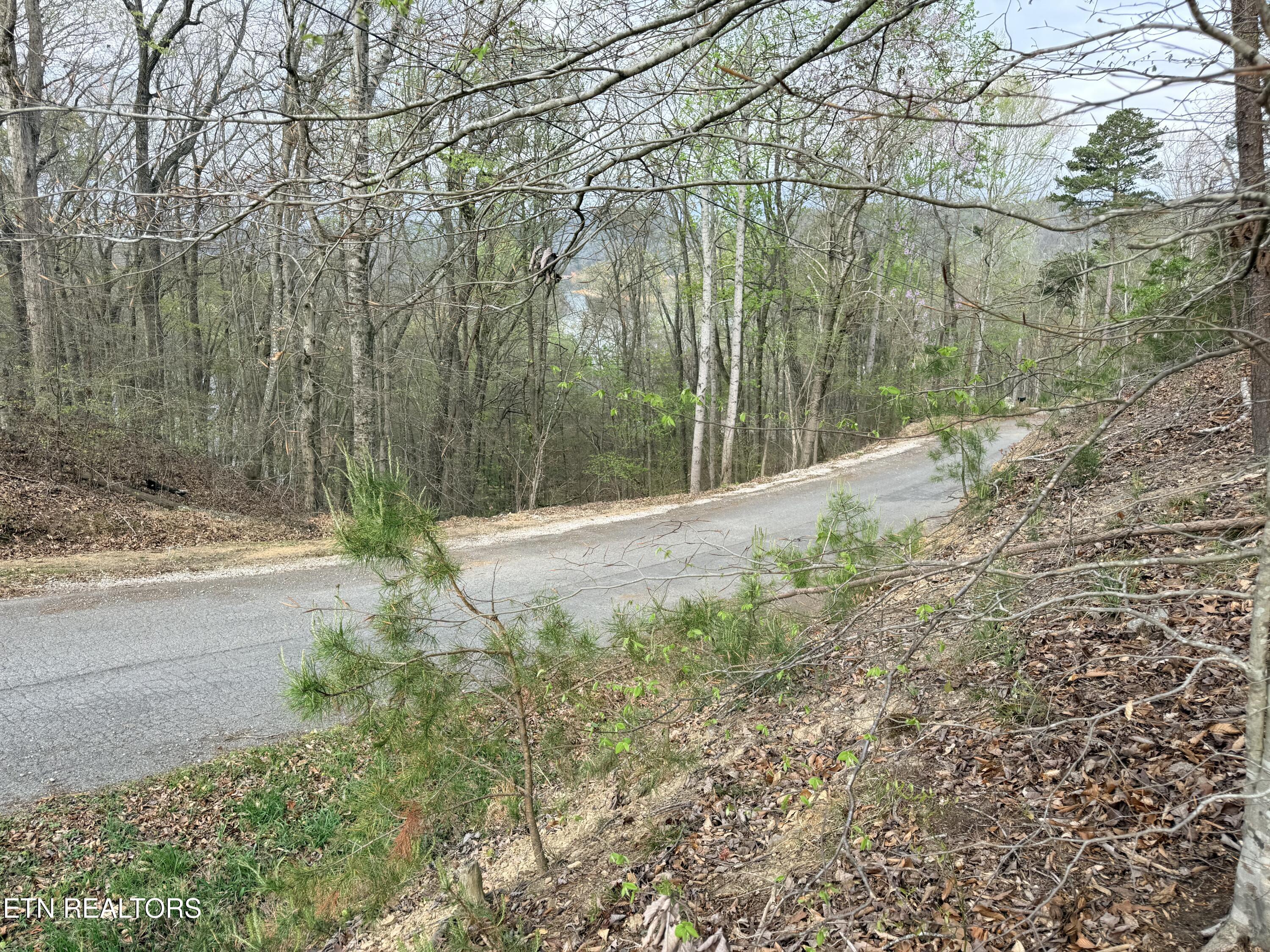 Norris Lake Real Estate - Image# 5