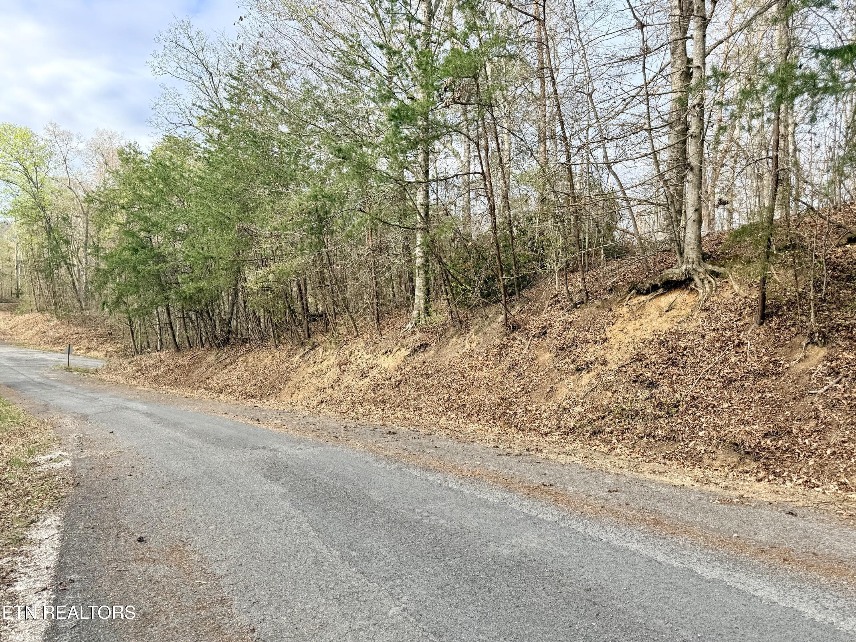 Norris Lake Real Estate - Image# 3
